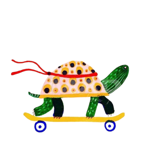 Speedy Turtle | Youth Apparel